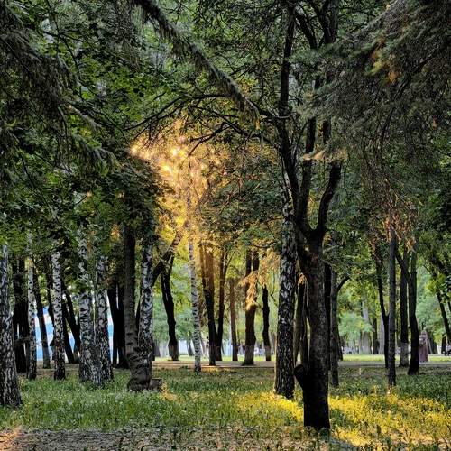 Photo #13078408