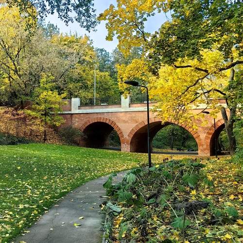 Photo #13078409