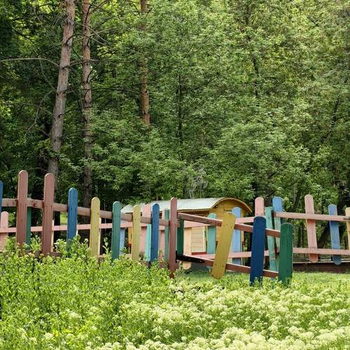 Photo #13078410