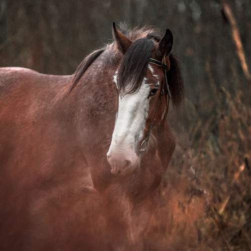 Photo #13078419