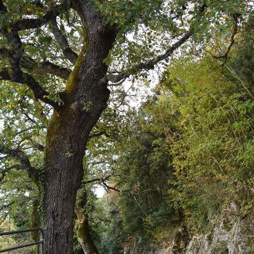 Photo #13078435