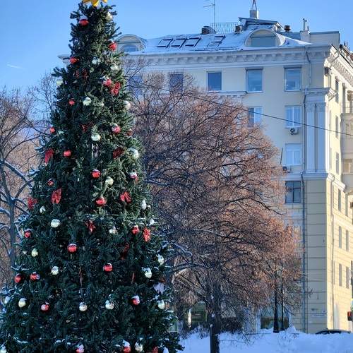 Photo #13078449
