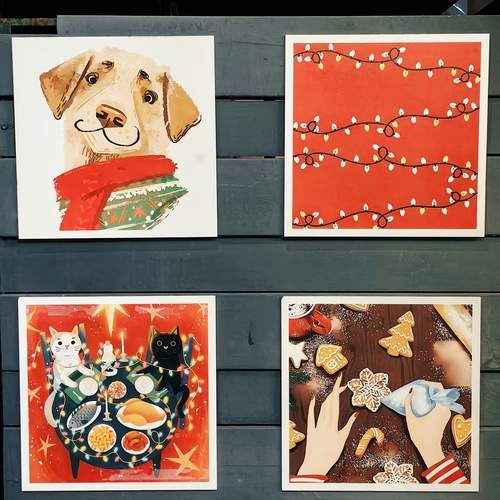 Photo #13078451