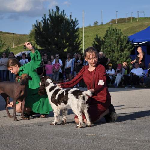 Photo #13078569