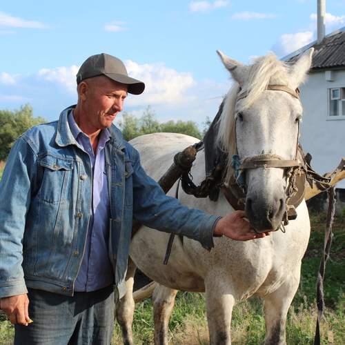 Photo #13078599