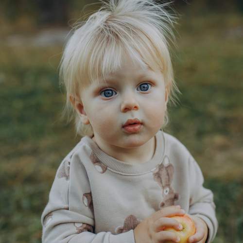 Photo #13078670