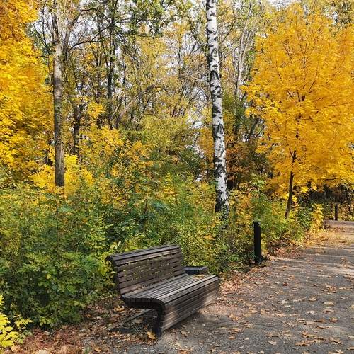 Photo #13078802
