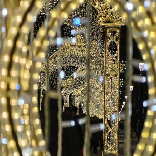 Photo #13078857