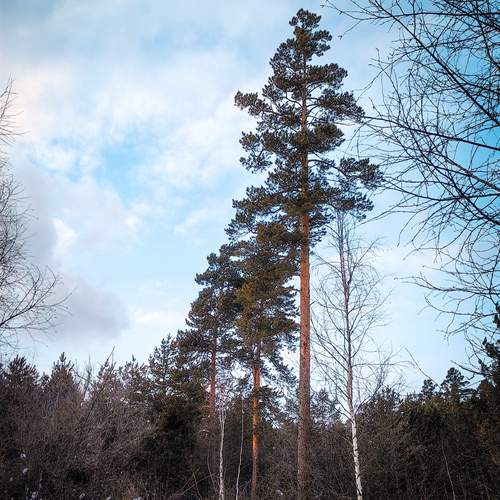 Photo #13078892