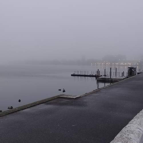 Photo #13078932