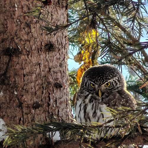 Photo #13079096