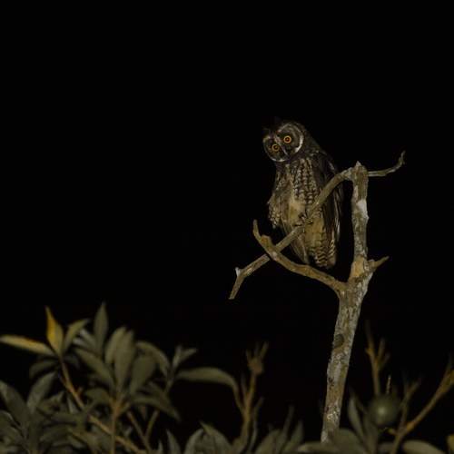 Photo #13079129