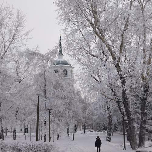 Photo #13079183
