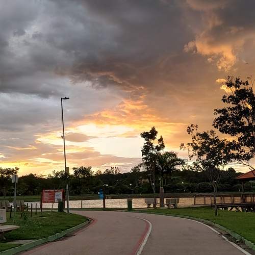 Photo #13079226
