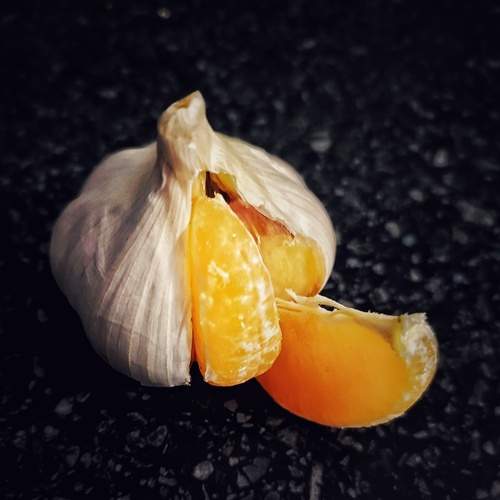 Photo #13079315