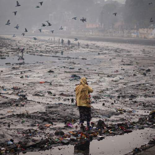 Riverbank with lone figure & birds