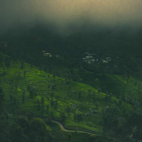 Photo #13079441