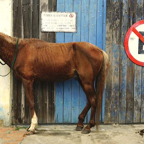 Photo #13079560