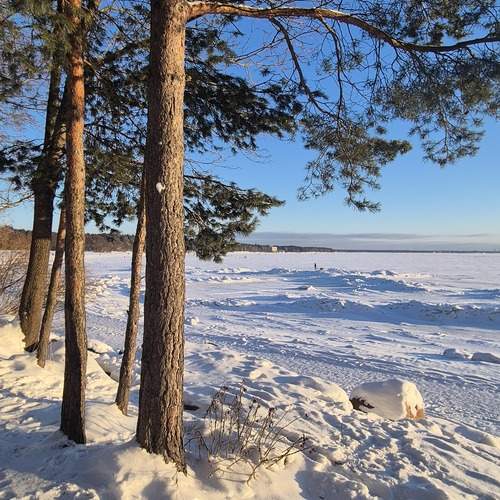 Photo #13079576