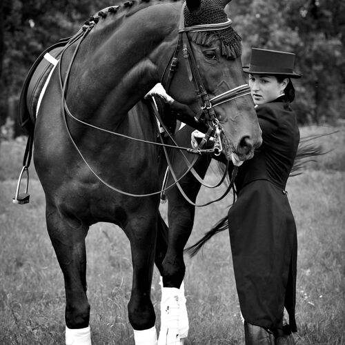 Photo #13079583