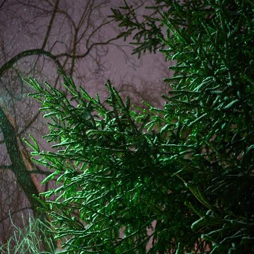 Photo #13079591