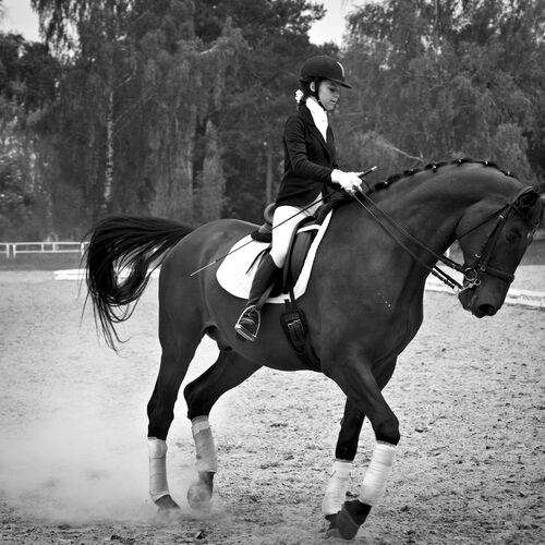 Photo #13079601