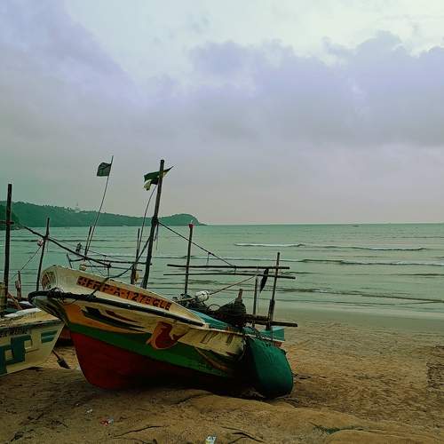 Photo #13079737