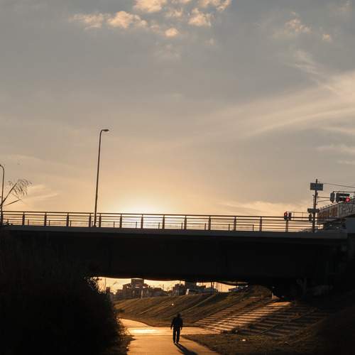 Photo #13079795