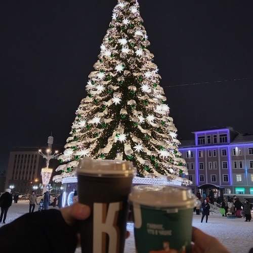 Photo #13079825