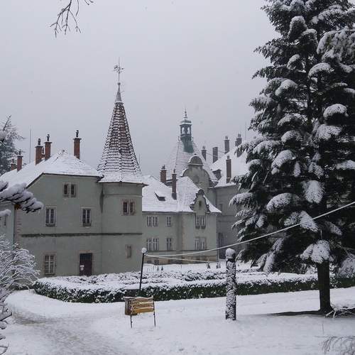 Photo #13079993