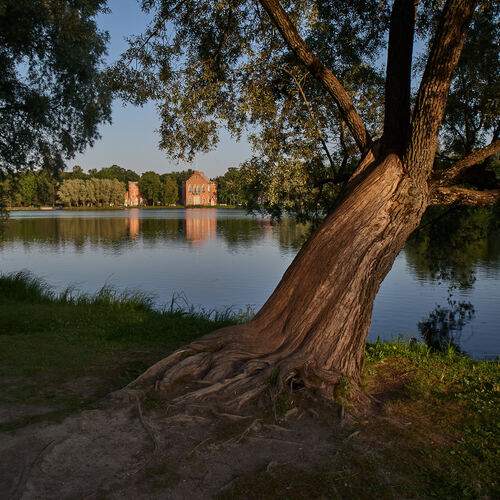 Photo #13080009