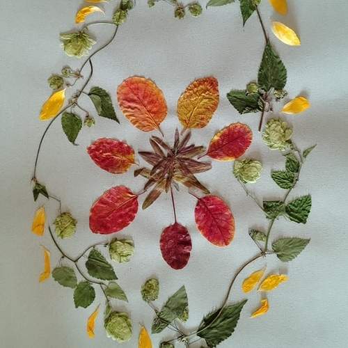 Photo #13080014
