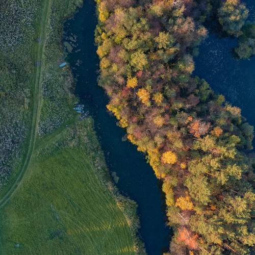 Photo #13080135