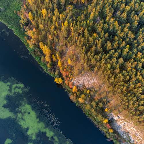Photo #13080138