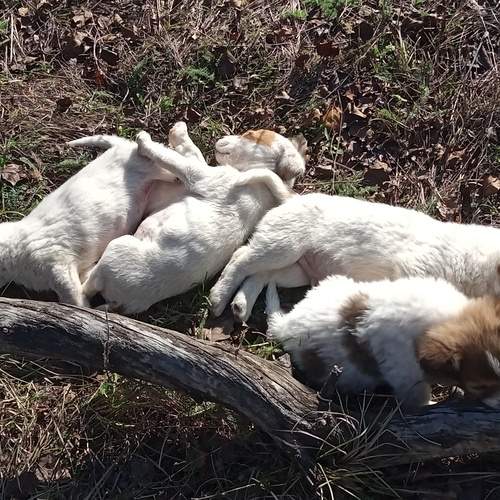 Photo #13080170