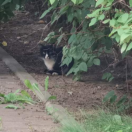 Photo #13080179