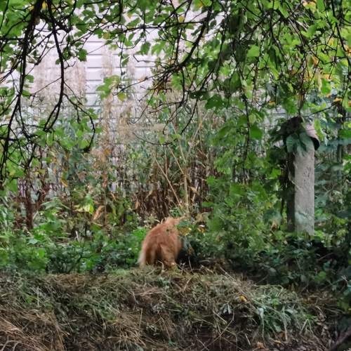 Photo #13080180