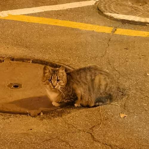 Photo #13080181
