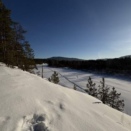 Photo #13080272