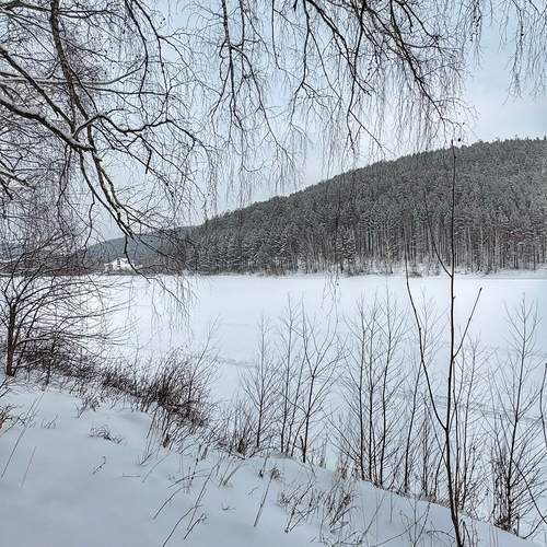 Photo #13080273