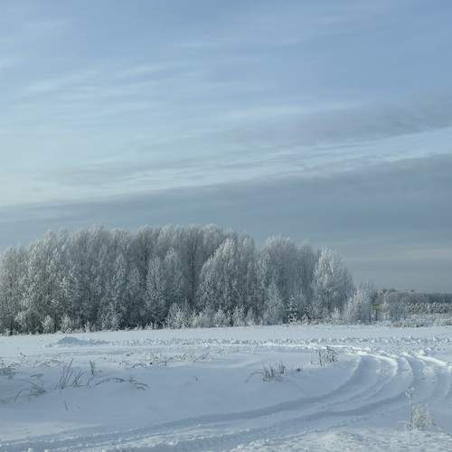 Photo #13080302