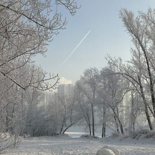 Photo #13080303