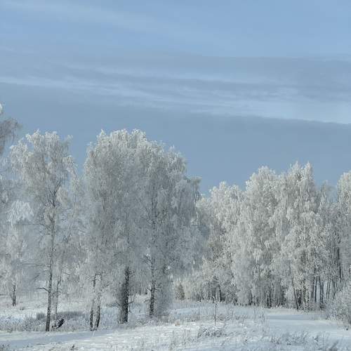 Photo #13080304
