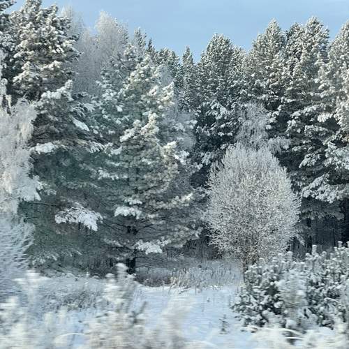 Photo #13080305