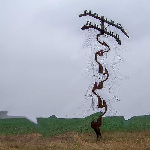Photo #13080453