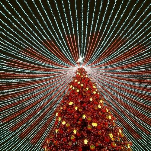 Photo #13080530