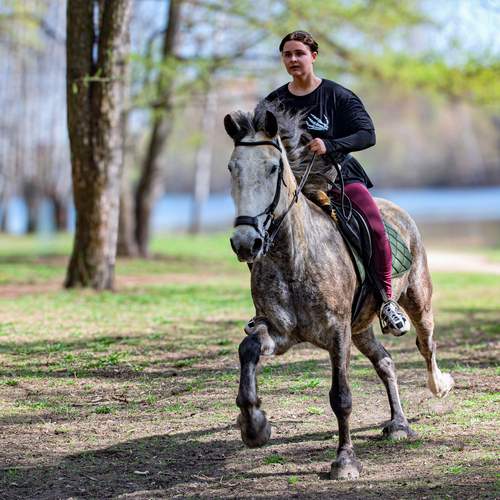 Photo #13080693