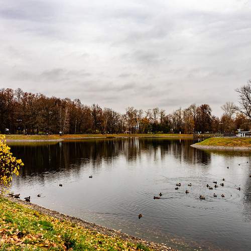 Осень в парке Останкино