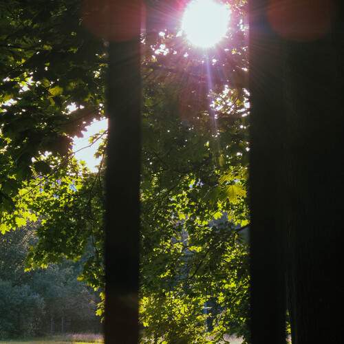 Photo #13080836