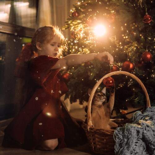 Photo #13080847